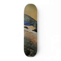 Lizards Blue Belly Scales skateboards