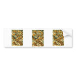 Lizards bumper stickers