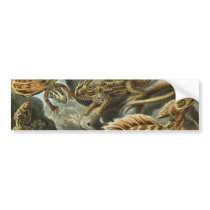 Lizards bumper stickers