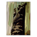 Lizard's camouflage (card)