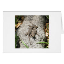 Lizards Card