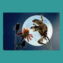 Lizards Gone Wild posters