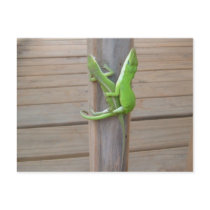 Eidechsen in Love Postcard