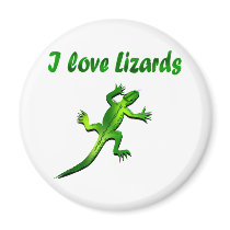 Lizards magnets
