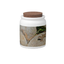Lizards Mating Candy Jars