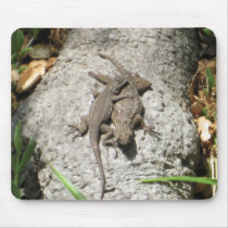 Lizards Mousepad