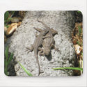 Lizards Mousepad