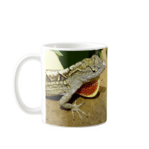 lizards mugs by photobippy lizards mugs