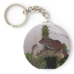 Lizards on cactus against pale yellow background keychains