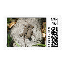 Lizards Postage Stamp by bobdruwing Lizards Postage Stamp