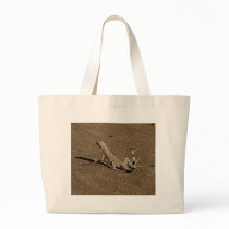 Lizards Sandy Reptiles bags