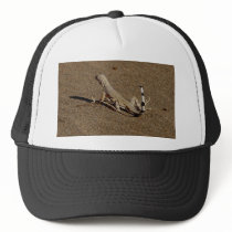 Lizards Sandy Reptiles hats by lifesphere Lizards Sandy Reptiles hats