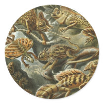 Eidechsen sticker