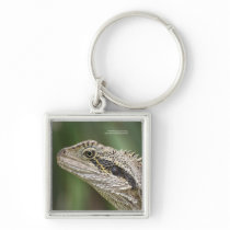 Lizzard keychain