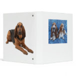 Lizzy Darcy binders