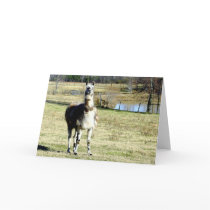 Llama 1 greeting card