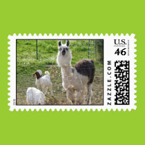 Llama and Goats Postage stamps