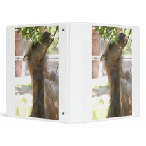 Llama binders by Incatneato Llama binders