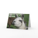 Llama birthday cards by ateets Llama birthday cards