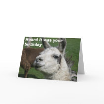 Llama birthday cards
