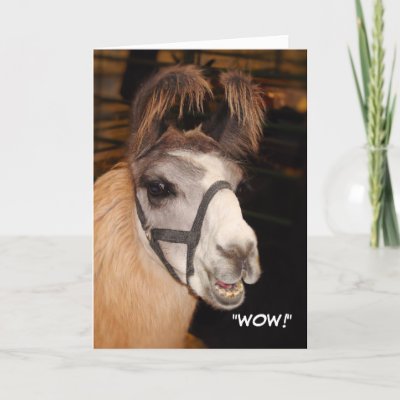 Llama Birthday Card