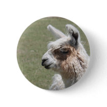 Llama Blush Pins