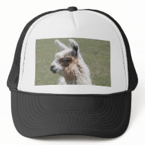 Llama Blush Trucker Hats