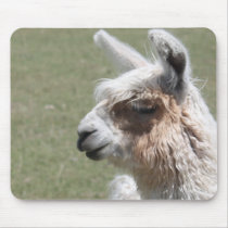 Llama Blush Mouse Pad