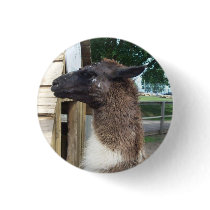 Llama buttons by manasstalker Llama buttons