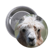 Llama Buttons