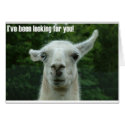 llama cards