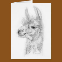 Llama Card cards