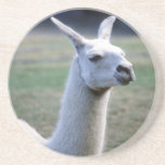 Llama Beverage Coasters
