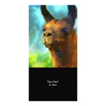 Llama Collectible Photo Card