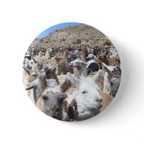 Llama Disco buttons by Little_Fish_Travel Llama Disco buttons