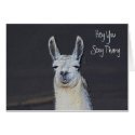 Llama Face Digital Art Humorous Birthday Card card