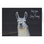 Llama Face Digital Art Humorous Birthday Card
