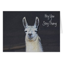 Llama Face Digital Art Humorous Birthday Card