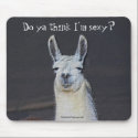 Llama Face Digital Art Humorous Photo Mousepad