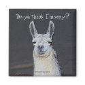 Llama Face Digital Art Photo Humorous Magnet