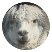 Llama Face Plate