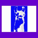 llama head in marine blue postcards