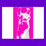 Llama head in pink postcards