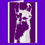 llama head in purple cards