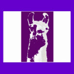 llama head in purple postcards