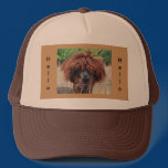 Llama Hello Hat