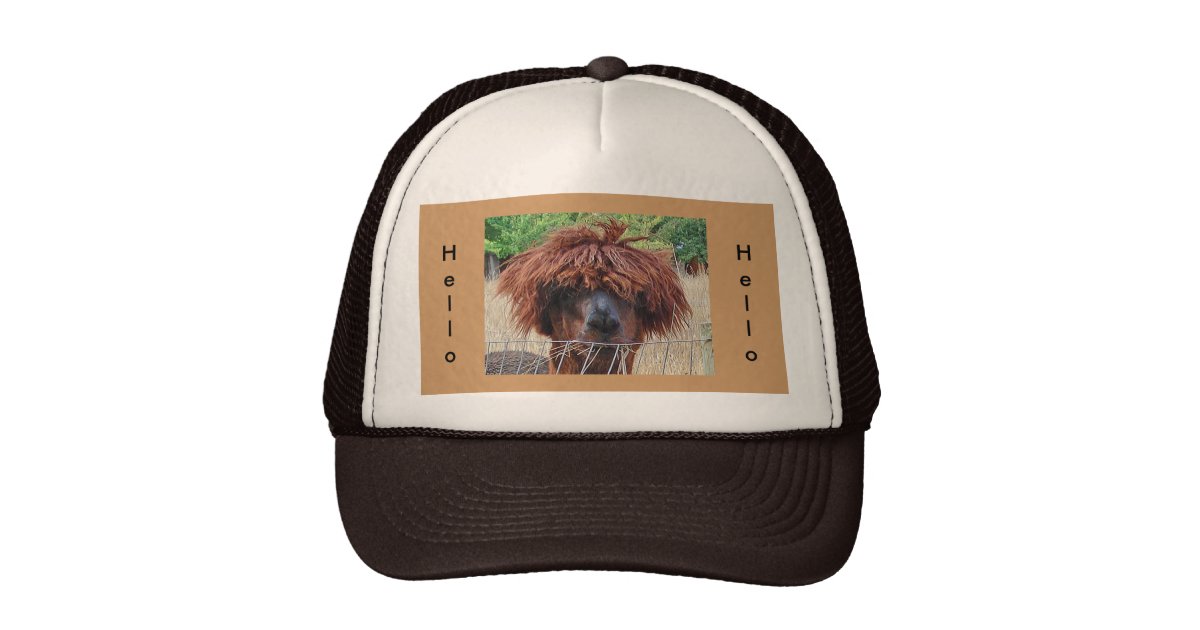 Llama Hello Hat Zazzle