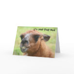 Llama Humorous 30th Birthday Greeting Card