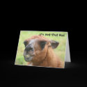 Llama Humorous 30th Birthday Greeting Card