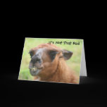 Llama Humorous 30th Birthday Greeting Card